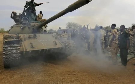 科尔多凡西部和南部地区遭到轰炸  喀土穆准备协助运送援助物资