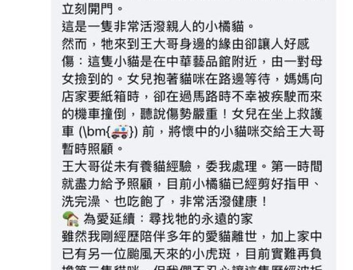 老婦撿浪貓闖斑馬線…遭2機車撞飛身亡！兒全程目睹驚悚畫面