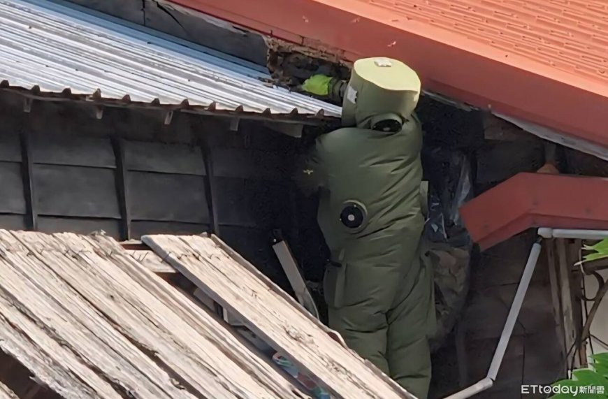 秋季虎頭蜂活躍　警方與縣府聯手守護民眾安全