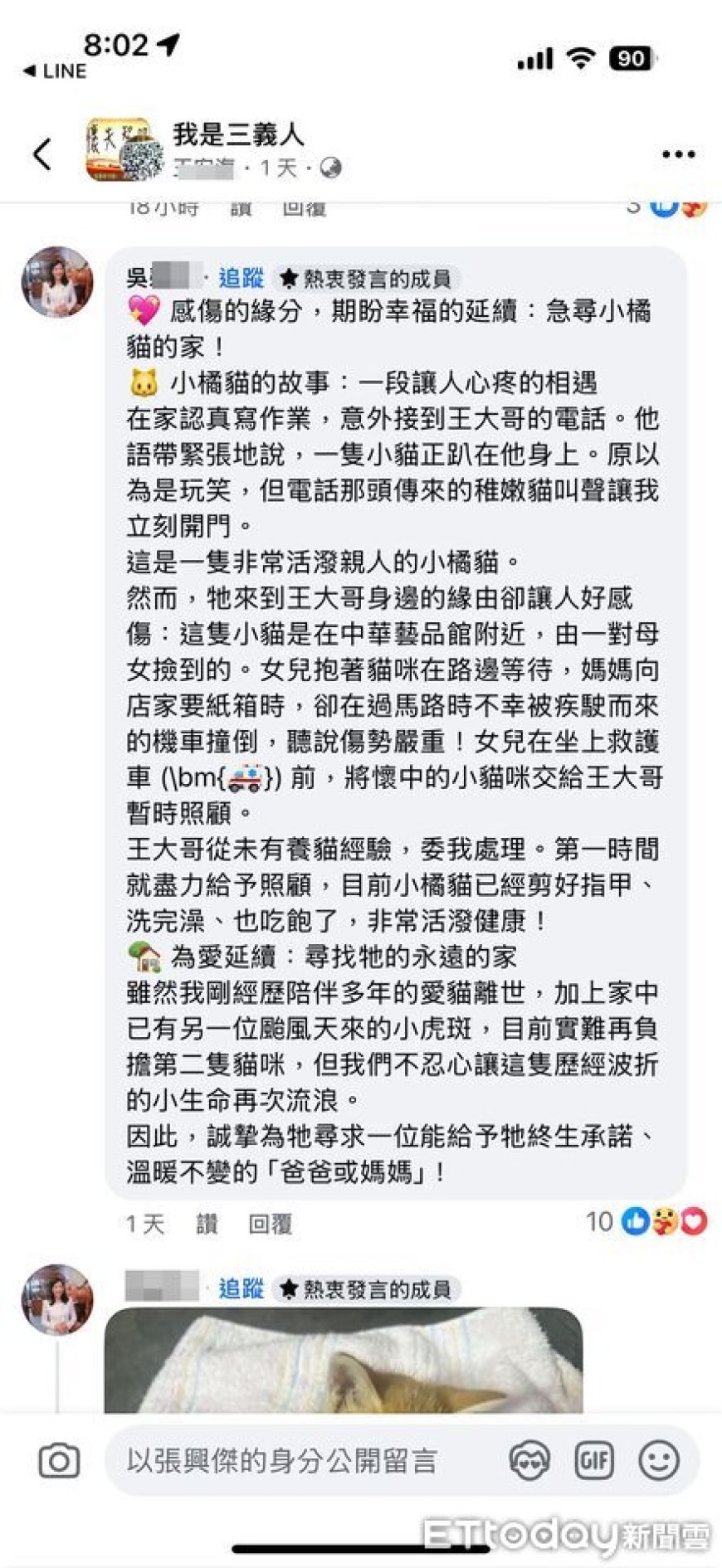 老婦撿浪貓闖斑馬線…遭2機車撞飛身亡！兒全程目睹驚悚畫面