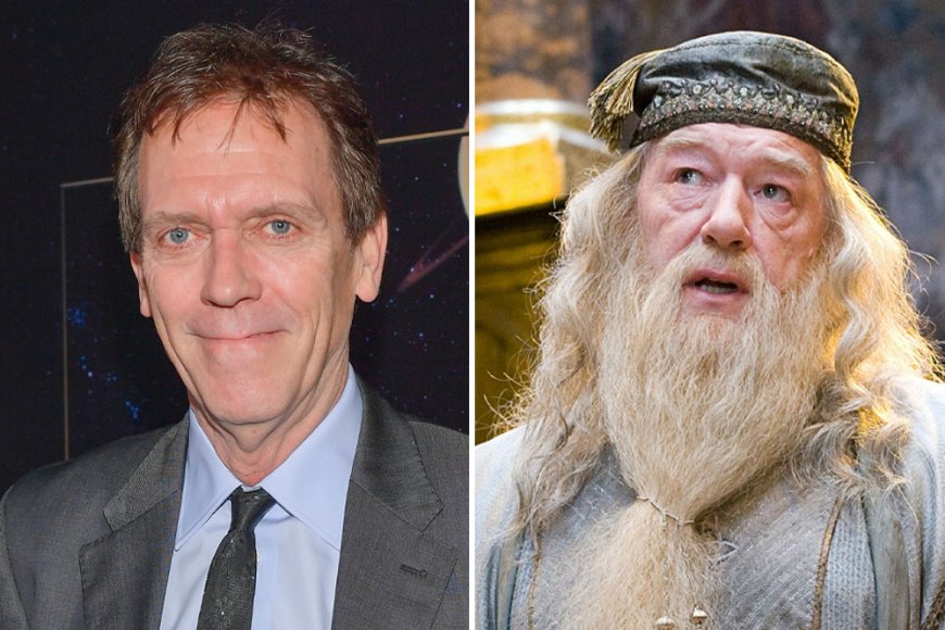 Hugh Laurie on Voicing Dumbledore in Audible’s ‘Harry Potter’ Books, Recording His Lines in Two Weeks and the ‘Mortifying Embarrassment’ of Auditions