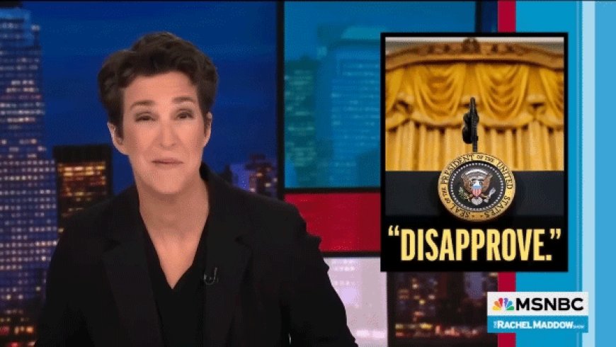 Rachel Maddow tells business leaders not to kowtow to 'deeply unpopular' Trump