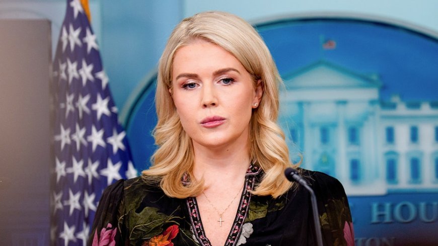 White House slams Mamdani's 'completely irresponsible' comments linking Trump to threats against voters