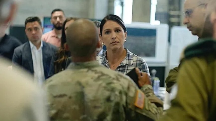 美国推动在加沙建立具有广泛权限的国际力量