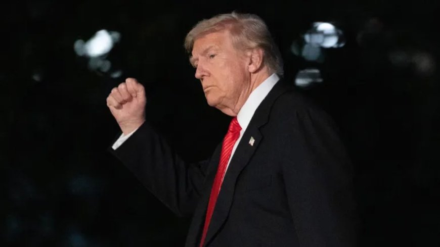 特朗普声称尼日利亚基督徒遭受“种族灭绝”的背后隐藏着什么？