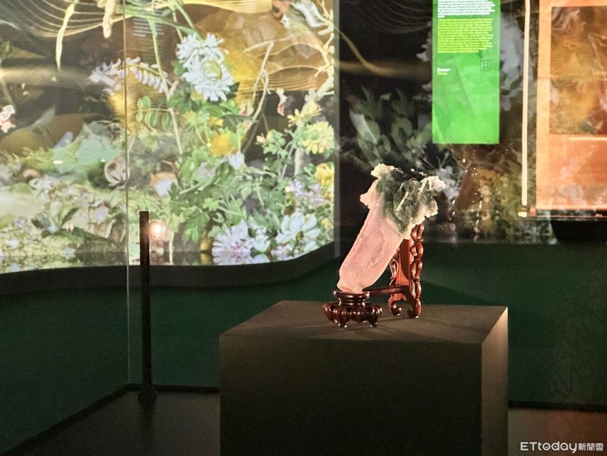 「翠玉白菜」安危受威脅　捷克博物館館長將「親自護送回台」