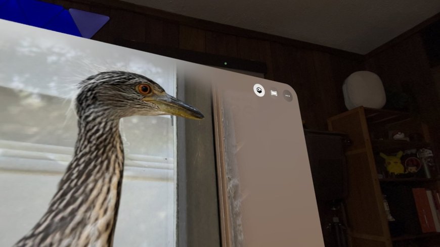 苹果“空间照片”与“空间场景”详解：一个永久格式，一个临时特效