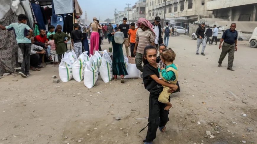 人为制造饥饿：占领当局如何操纵市场混乱以维持对加沙的压迫？