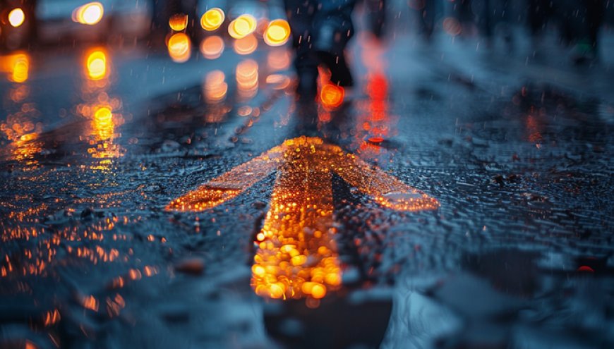 庄园芳升任兴全基金董事长、陈锦泉接任总经理，年内公募高管变动远超同期