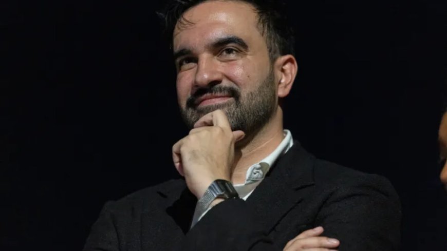 共和党人试图剥夺佐赫兰·马姆达尼的美国公民身份 这有可能吗？