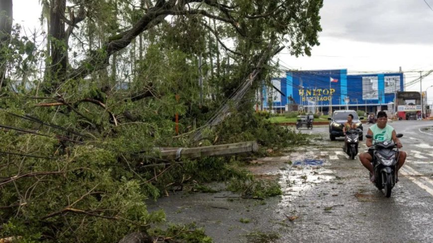 菲律宾评估台风“凤凰”造成的损失