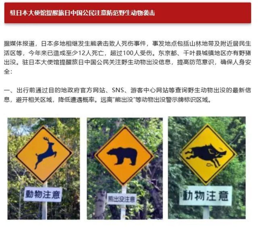 熊灾泛滥！日本自卫队打算用刺刀冲锋肉搏猎熊，以前曾用高射炮？