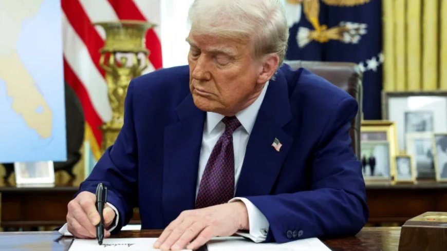 特朗普提议向美国民众发放2000美元关税红利。这项计划可行吗？