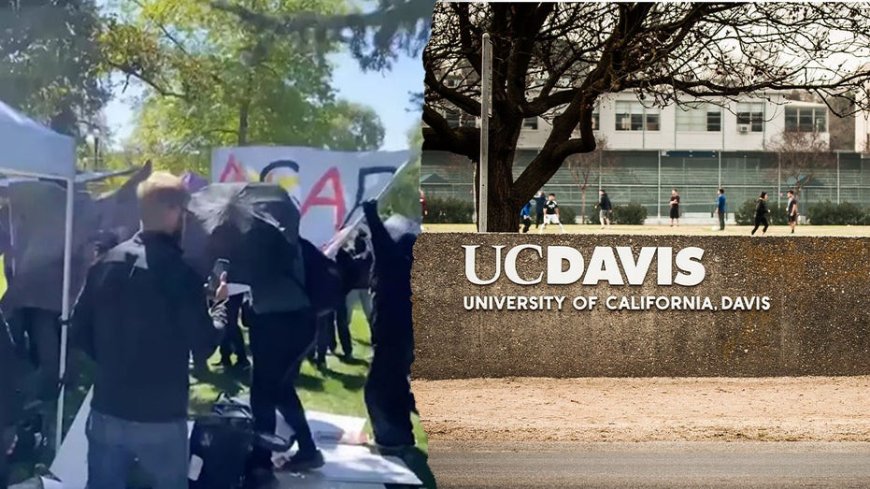 California woman charged with disrupting April Turning Point USA event on a college campus