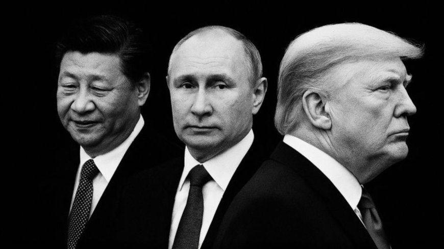 自 2008 年以来，世界发生了哪些变化？