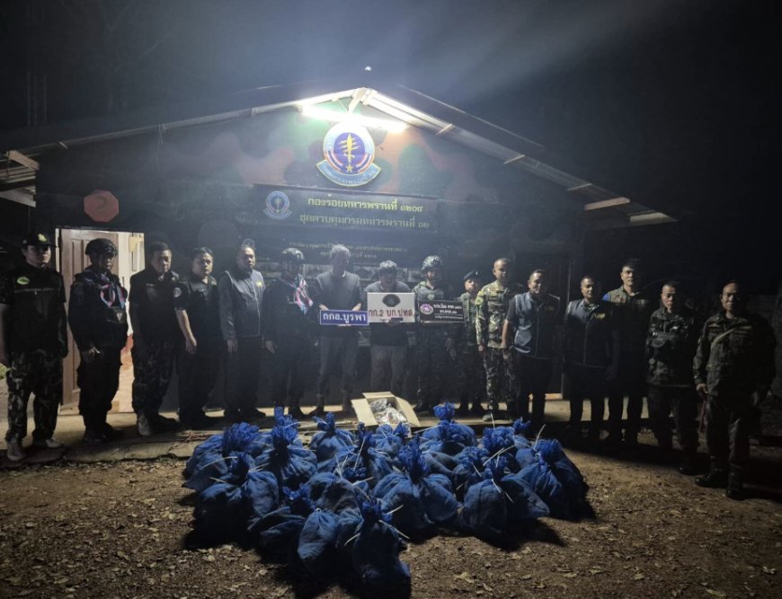 81獼猴慘淪「藥物實驗品」險被賣到柬埔寨！　泰破獲走私集團