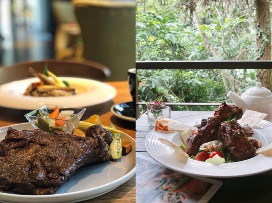 2025台中國際花毯節登場　周邊新社高人氣景觀餐廳跟著來打卡