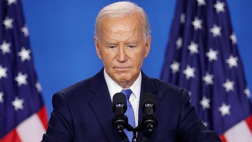 Ex-Biden advisor tears into disloyal Democratic Party, says forcing Biden out was 'undemocratic'