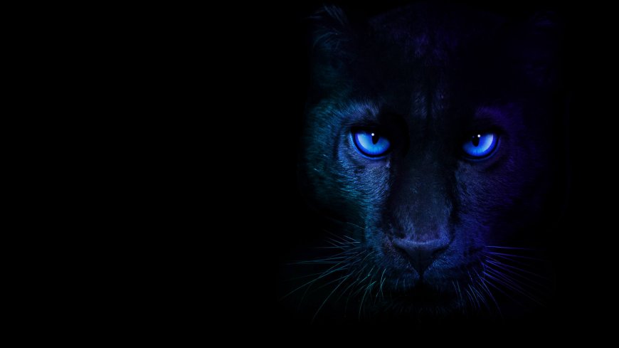 英特尔确认 CES 2026 正式发布酷睿 Ultra 第 3 代 Panther Lake 处理器