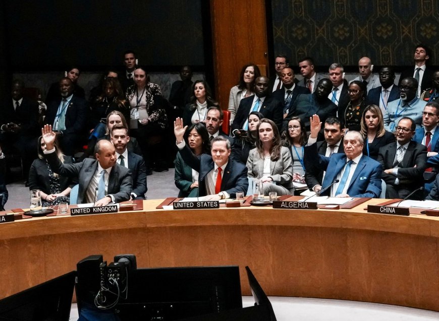 关于联合国第2803号决议（加沙问题）的意见：含糊不清和强加现实