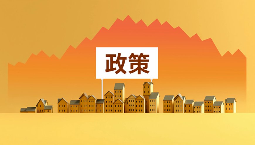 “十五五”规划建议“点名”这一小众金融产品，背后有深意