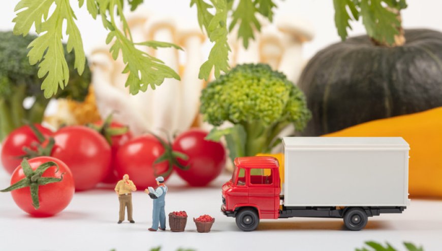 生鲜电商竞争从规模转向供应链