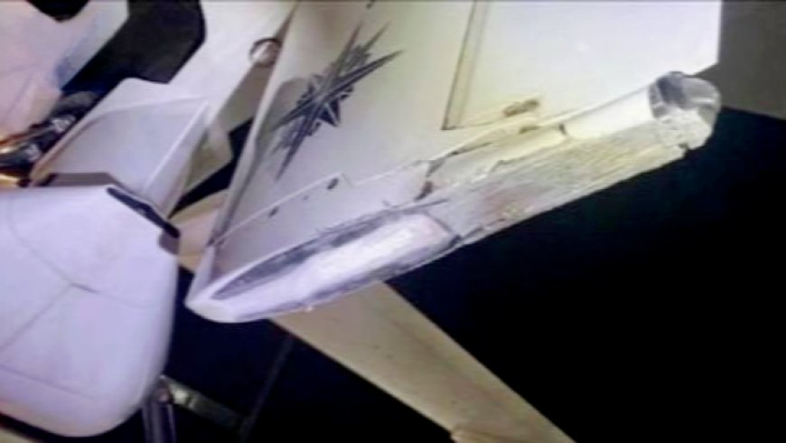 日本海保停飞“海上卫士”大型无人机