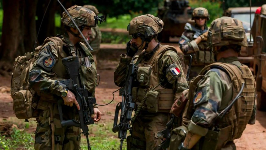 法国酝酿设立“志愿兵役”制度 应对俄“持久威胁”