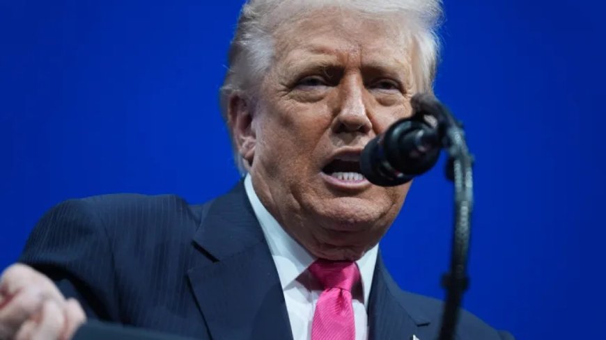 特朗普暂停接收来自“第三世界”国家的移民：这意味着什么？