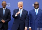 特朗普称赞刚果民主共和国和卢旺达最终敲定和平协议是“世界伟大的一天”
