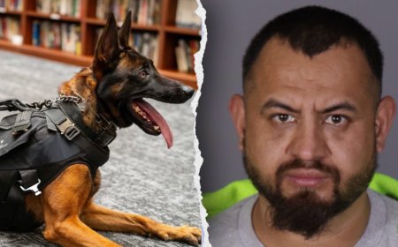 Illegal immigrant gang member killed police K-9 'Spike' before officers returned fire in California: source