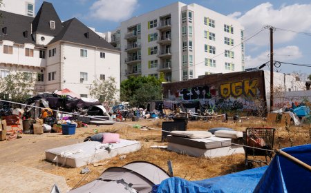 Los Angeles city council candidate pledges to live in trailer outside drug-infested park