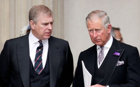 Andrew faces final humiliation as King Charles erases royal legacy completely with 'not much sympathy': expert