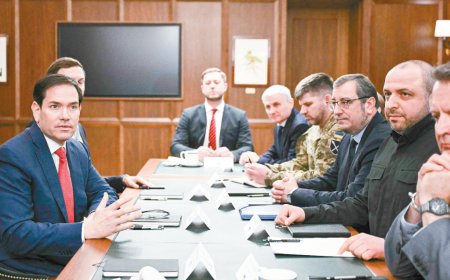 美乌俄欧展开密集磋商，“俄乌和平计划”进入关键一周