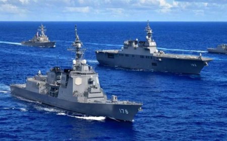 专家：日本正面临其战后最重要的抉择