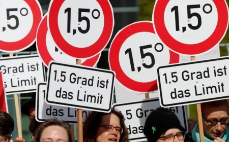 数百名科学家发布紧急气候宣言，呼吁拯救地球