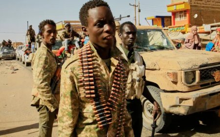 苏丹军方驳斥了快速支援部队已占领重要城市巴布努萨的说法