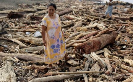 至少1250人死亡：造成亚洲毁灭性洪灾的原因是什么？