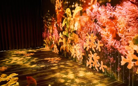 「緩緩坪林旅遊館」12/6開幕　沉浸式光影、品茶超愜意