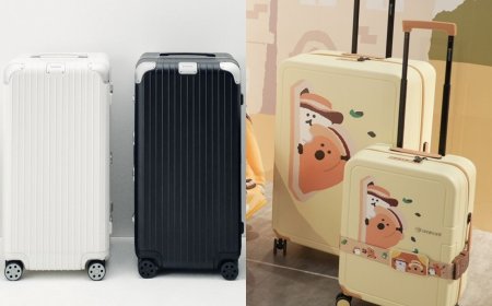 全球粉絲最愛行李箱進化更耐摔！DINOTAENG聯名送毛絨箱套萬元就有