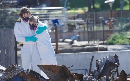 Ondi Timoner on How Her Altadena Fire Doc Aims to Help Heal and Stop Foreclosures 