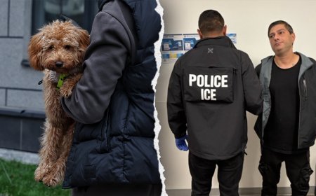 ICE arrests Azerbaijani national with multiple criminal convictions, including animal cruelty, arson