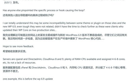 0.4 → 20 秒：部分站长反馈升级 WordPress 6.9 后网站变“龟速”
