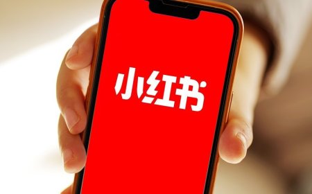 胡锡进：连小红书都怕，说明台当局现在真的已经风声鹤唳，草木皆兵