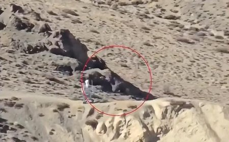 印媒破防！中国机器人已经在边境巡逻，印军还要操心冬天冻死人