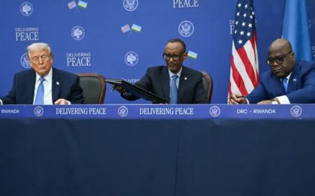 华盛顿斡旋下达成的刚果-卢旺达和平协议：乐观与担忧并存