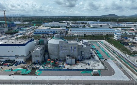 国家能源局：将稳步提高核能在能源消费中的比重，“玲龙一号”明年投运