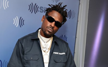 Former NFL Star Antonio Brown Cites 'Stand Your Ground' Law in Murder Case