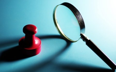 官方通报“多个明星姓名上了住建局罚款名单”：使用虚假人名，严肃处理责任人