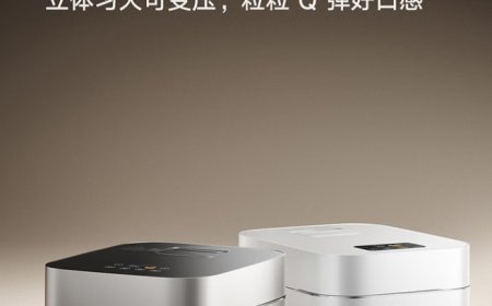 预售价 1999 元，小米米家智能变压 IH 电饭煲 4L 新增白色款